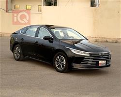 BYD Destroyer 05